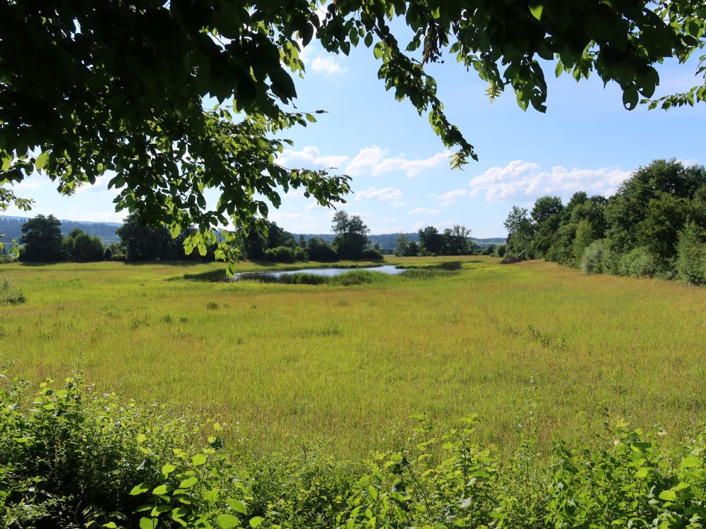 Inselweiher