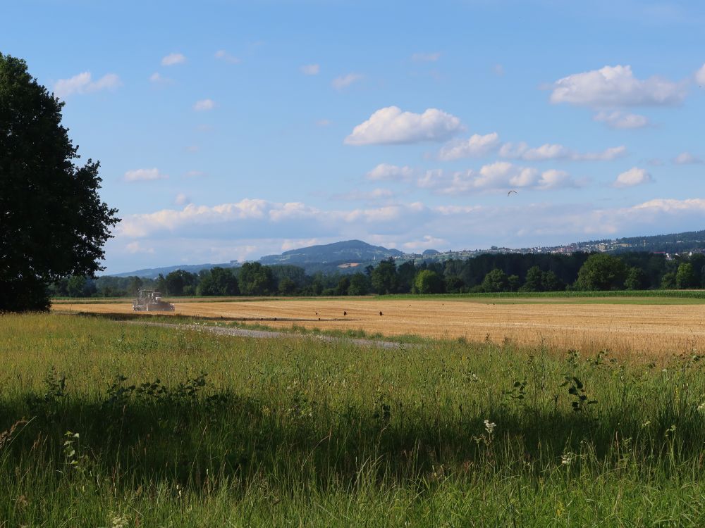 Blick Richtung Heitersberg