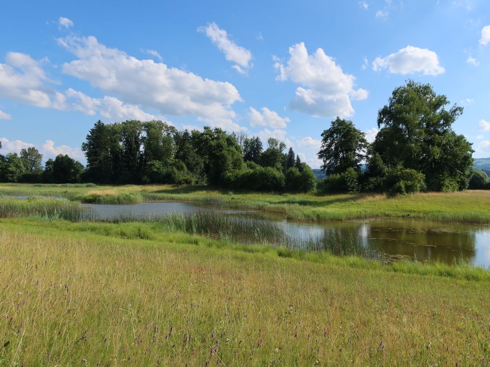 Inselweiher