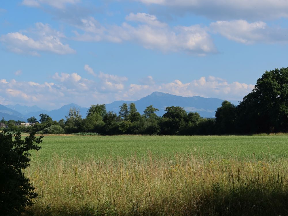 Blick Richtung Rigi
