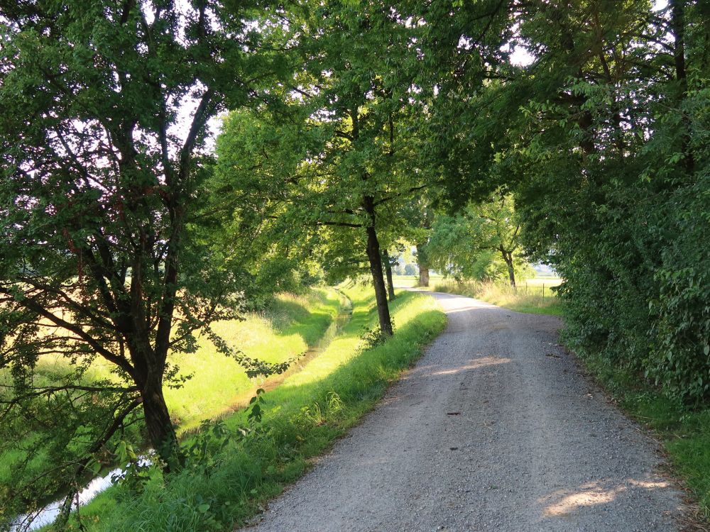 Bachweg am Wissenbach