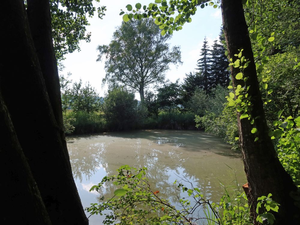 Privatteich