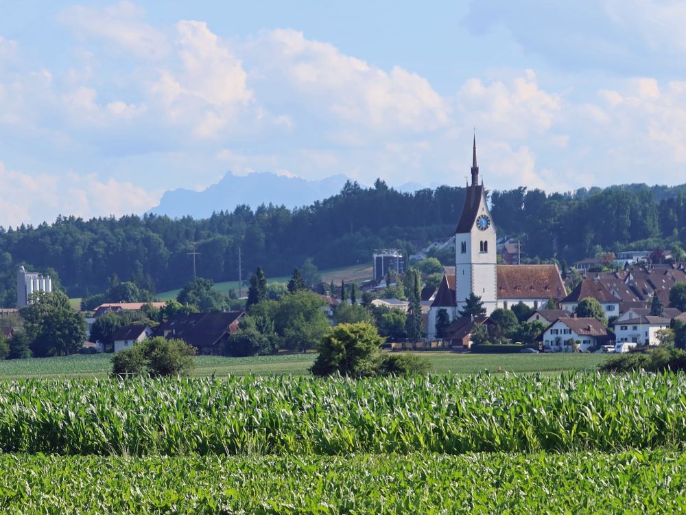 Pilatus und Merenschwand