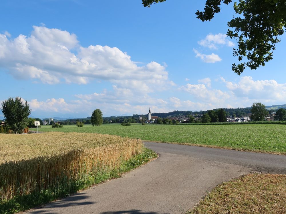 Blick Richtung Merenschwand