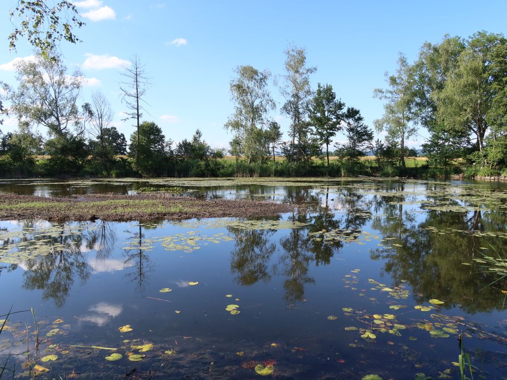 Rütiweiher