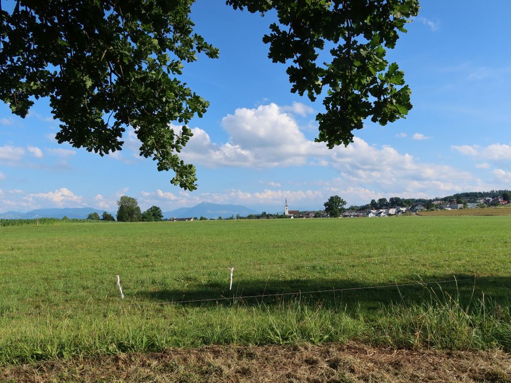 Blick Richtung Rigi und Merenschwand