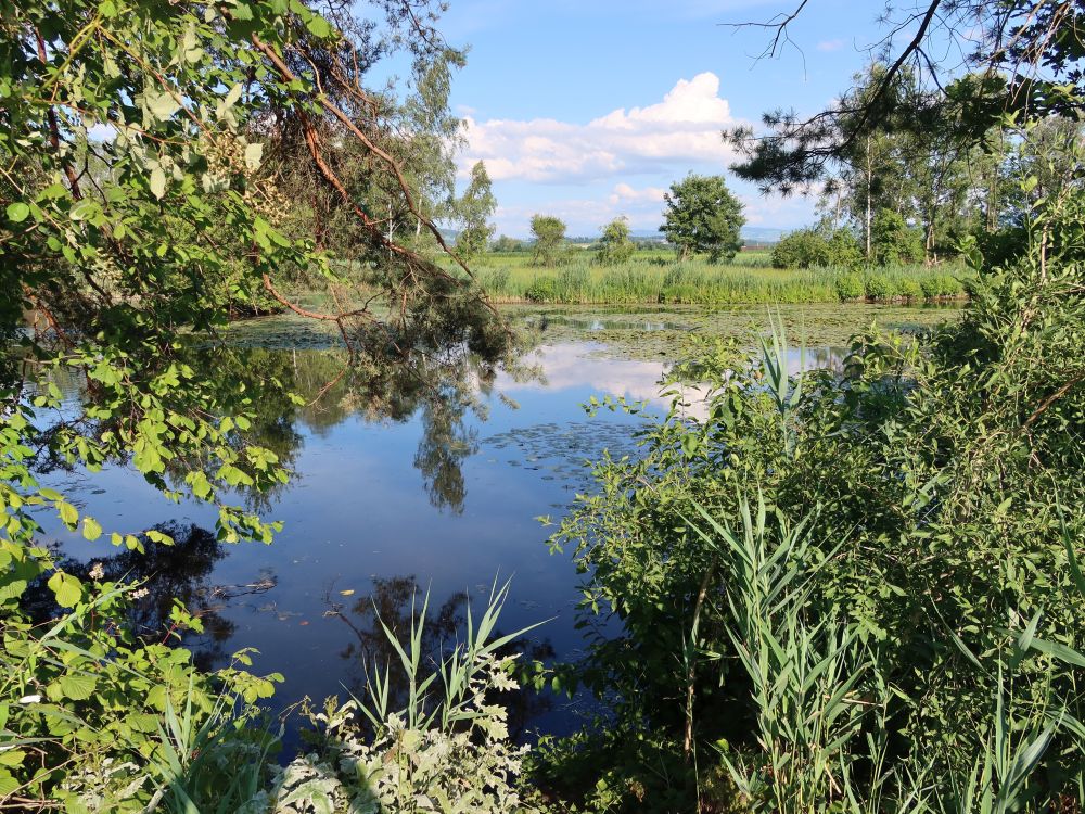Rütiweiher