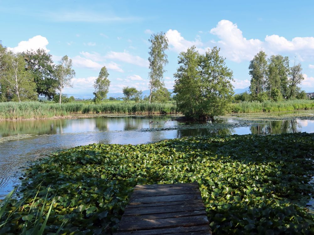 Rütiweiher