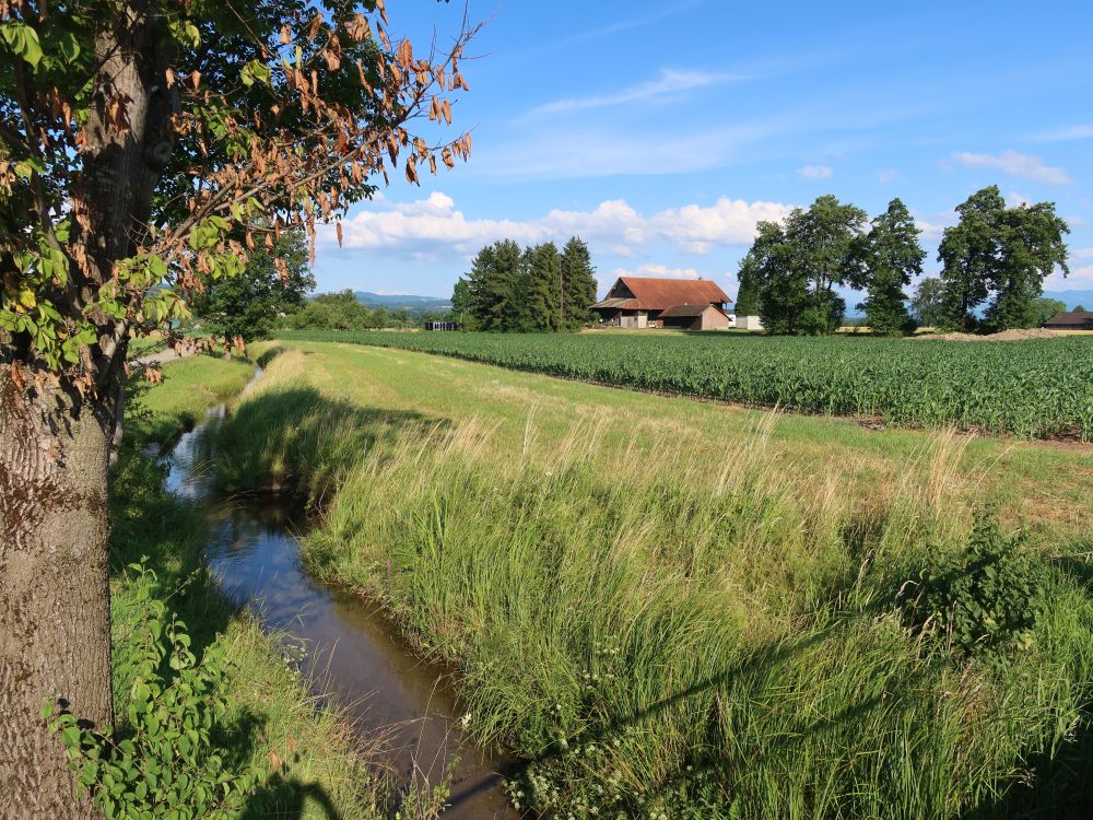 Rütihof