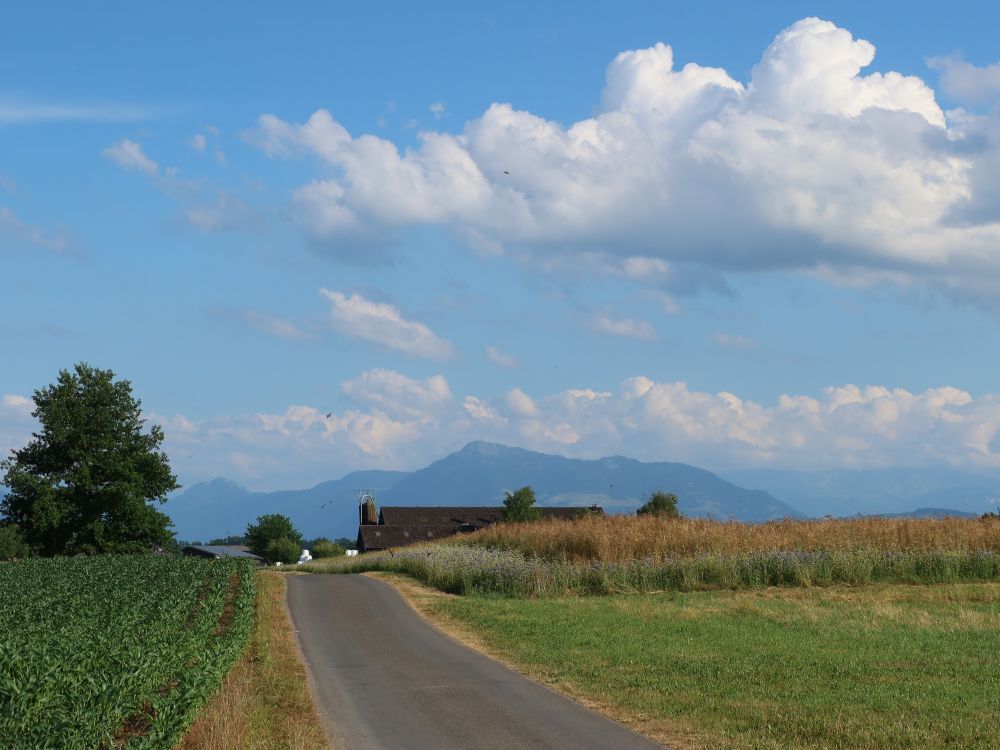 Blick Richtung Rigi