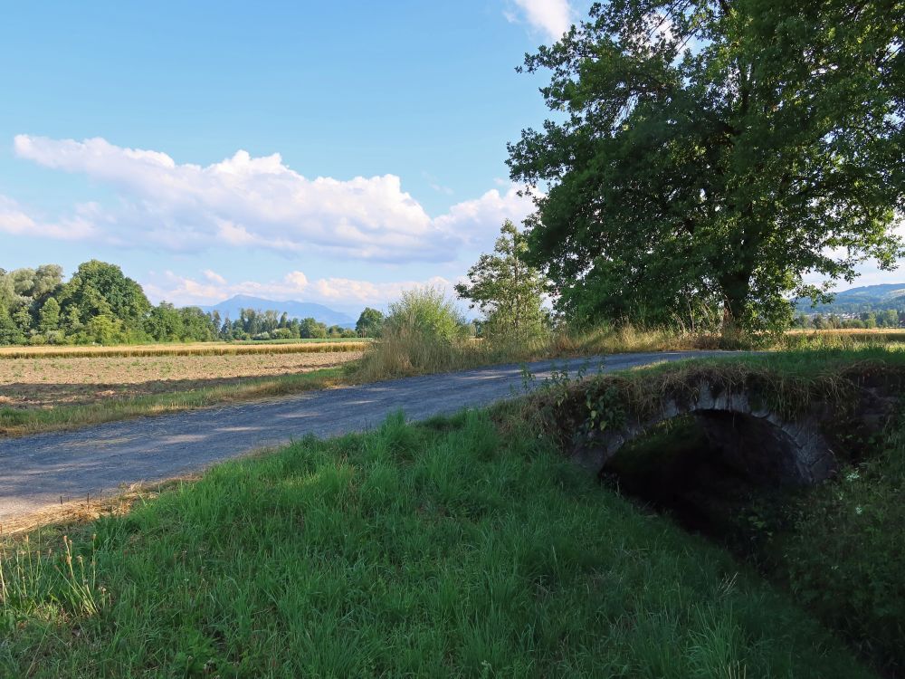 alte Steinbrücke