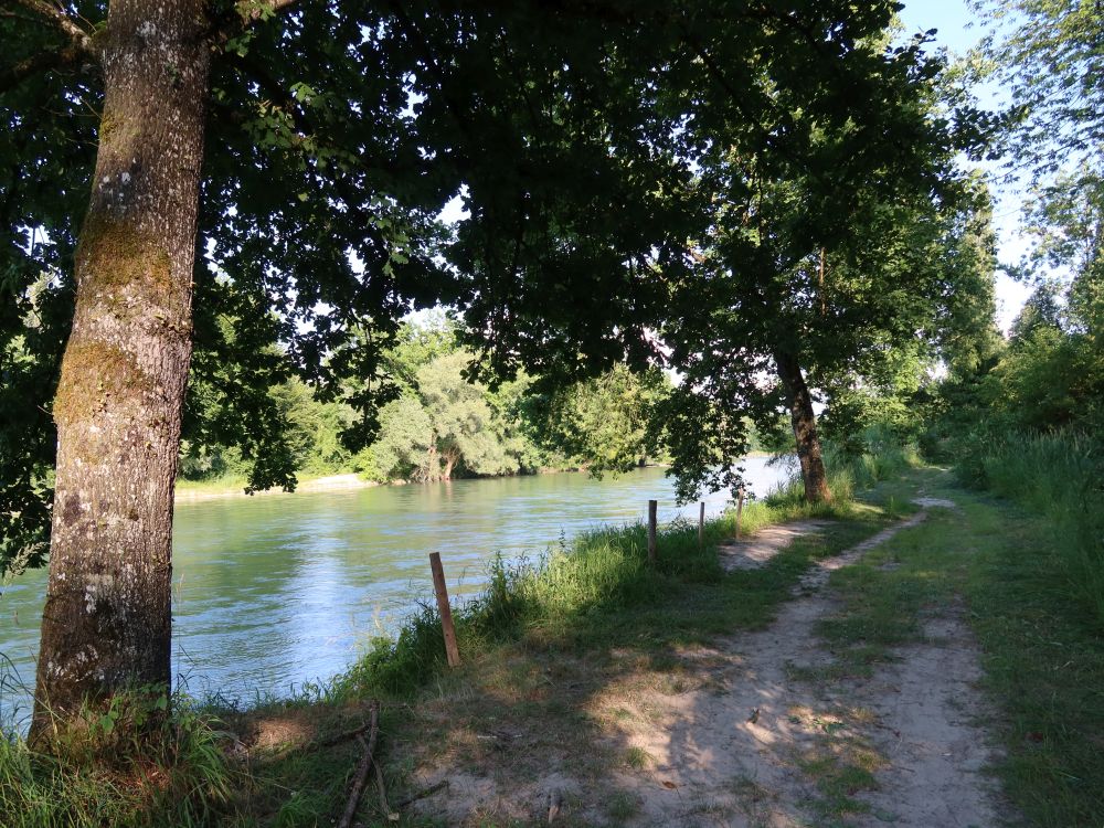 Pfad an der Reuss