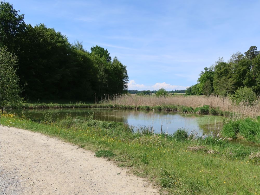 Teich am Schwarzenbach
