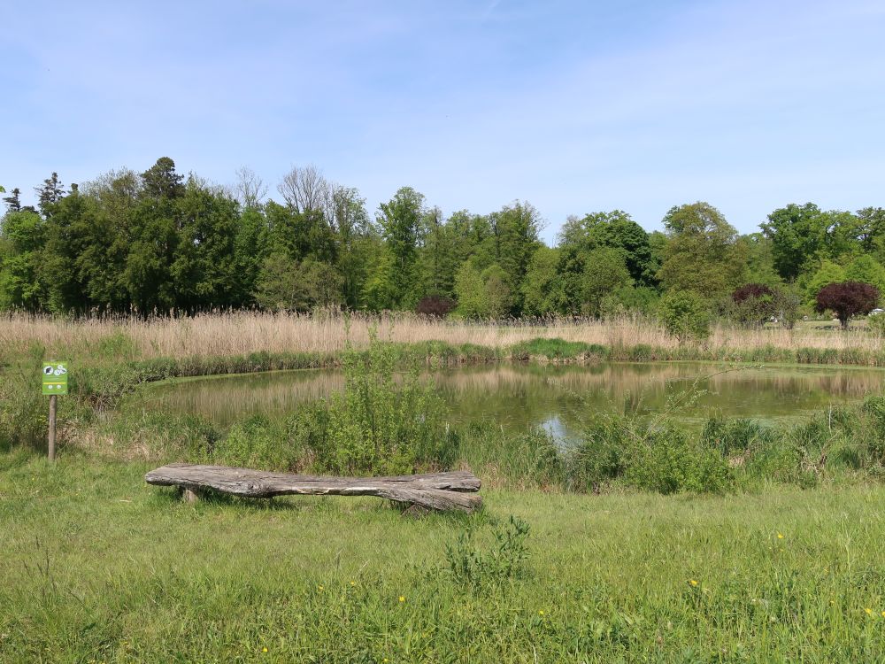 Teich am Schwarzenbach