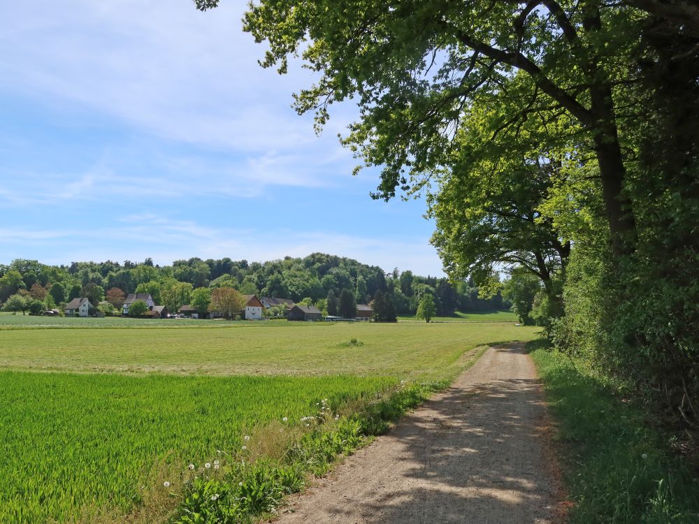 Weg am Waldrand