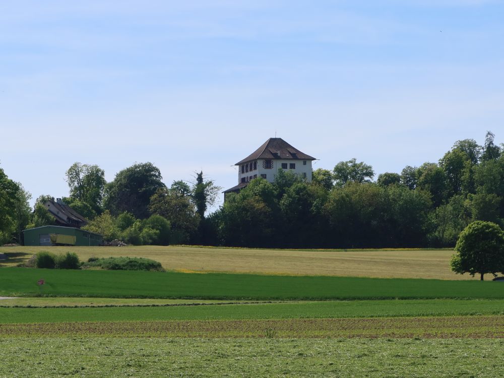 Blick zur Mörsburg