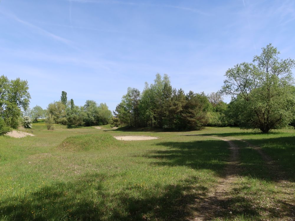 Kiesgrube Ebnet