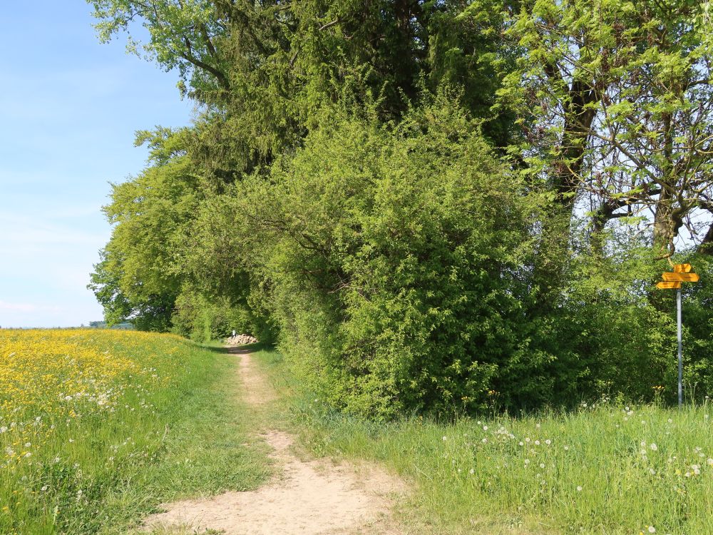 Abzweig zum Sulzergraben