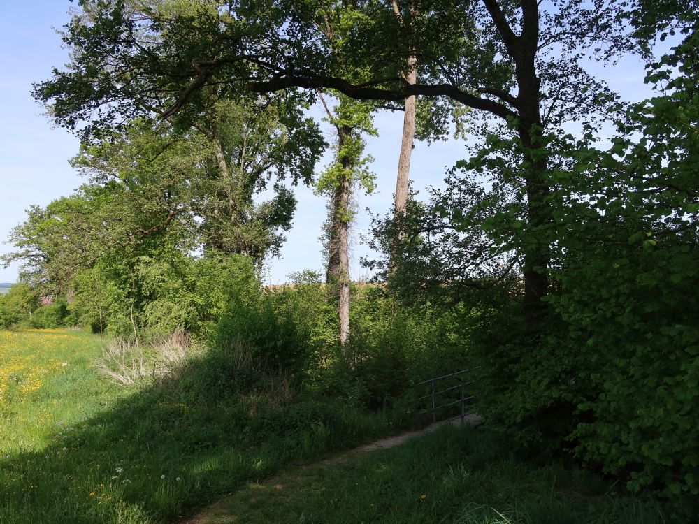Steg am Sulzergraben