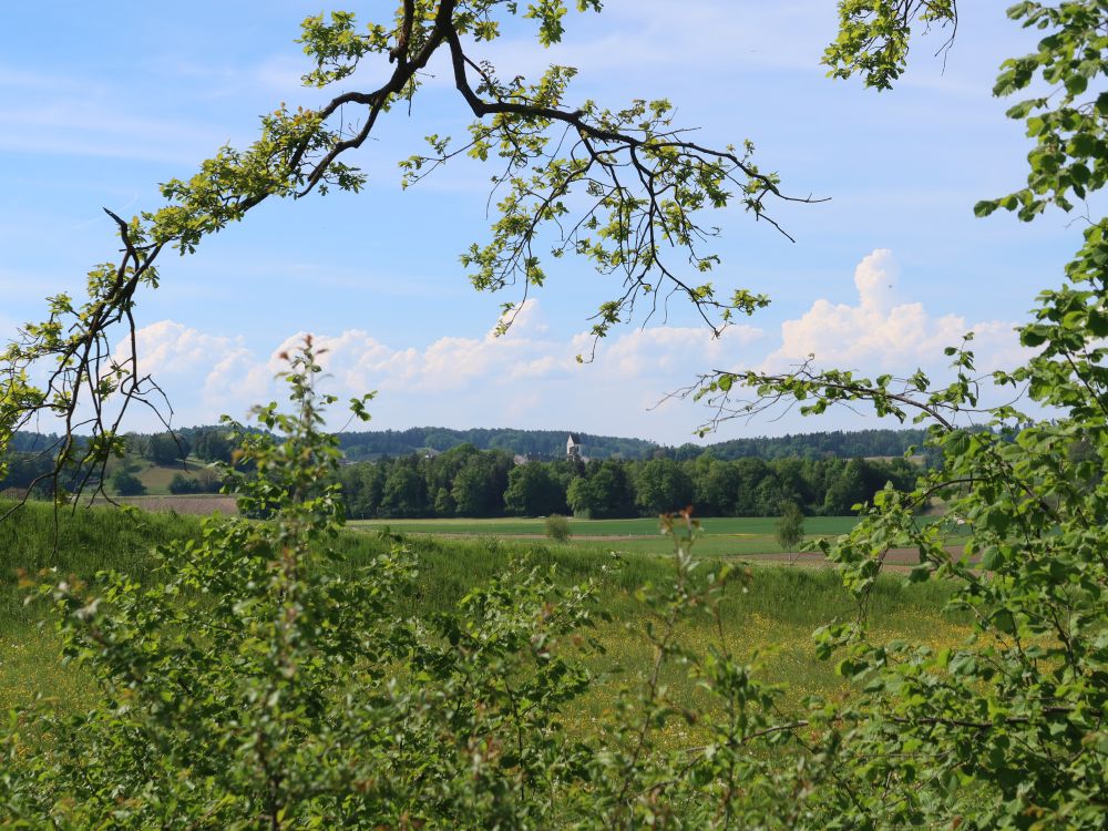 Kirchturm Dinhard