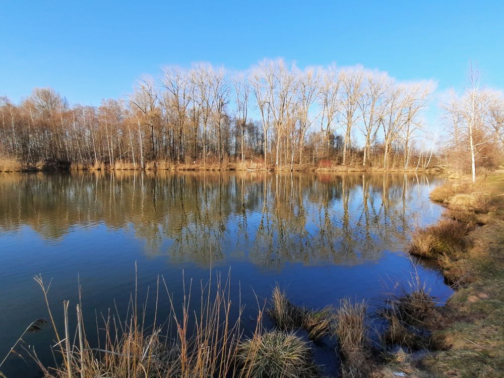 Riedsee am Marbengraben