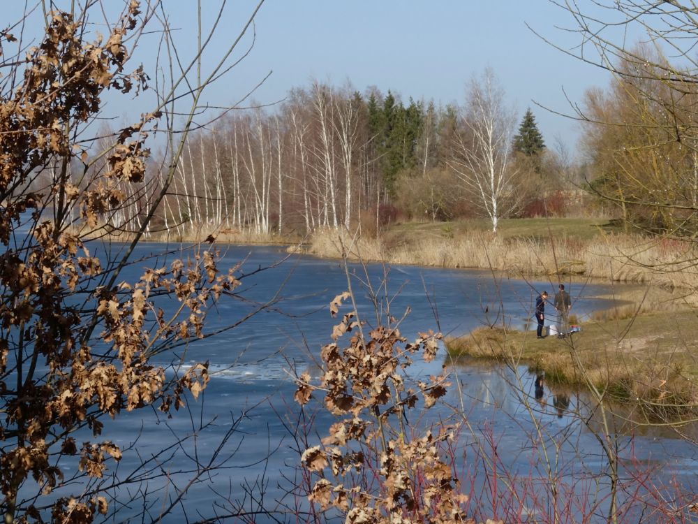 Riedseeufer an Kiesstrasse