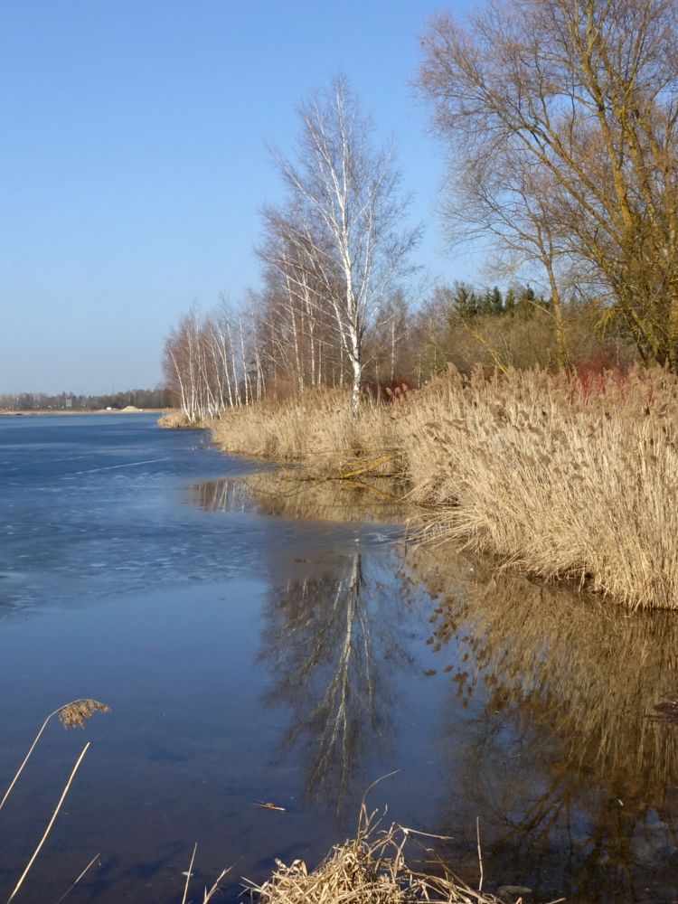 Riedseeufer an Kiesstrasse