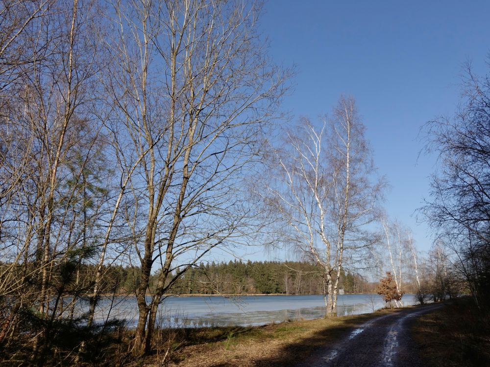 Riedseeufer am Seeweg