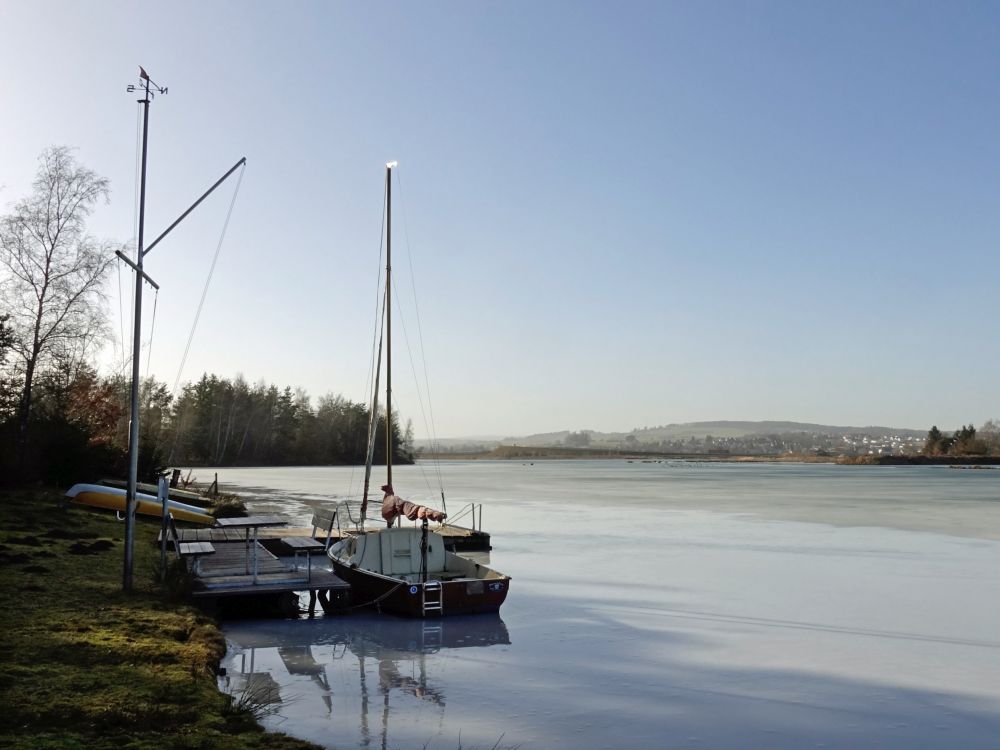 Riedseeufer am Seeweg