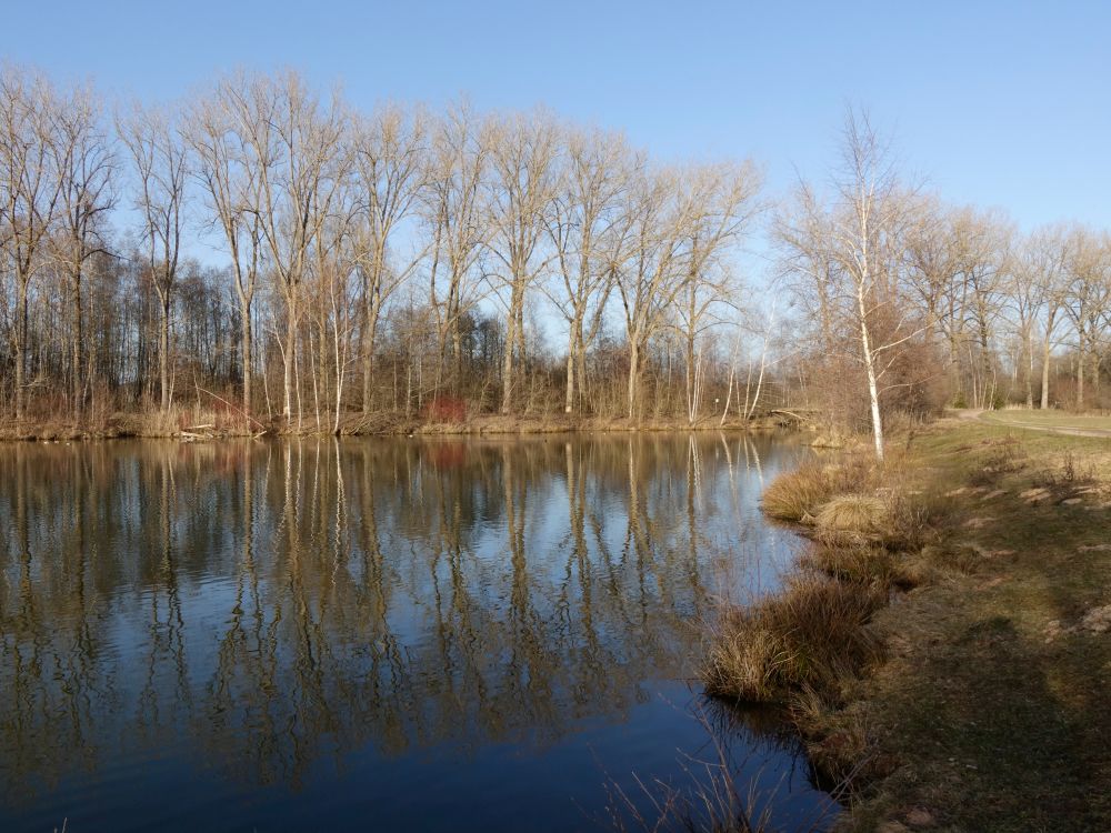 Riedsee am Marbengraben