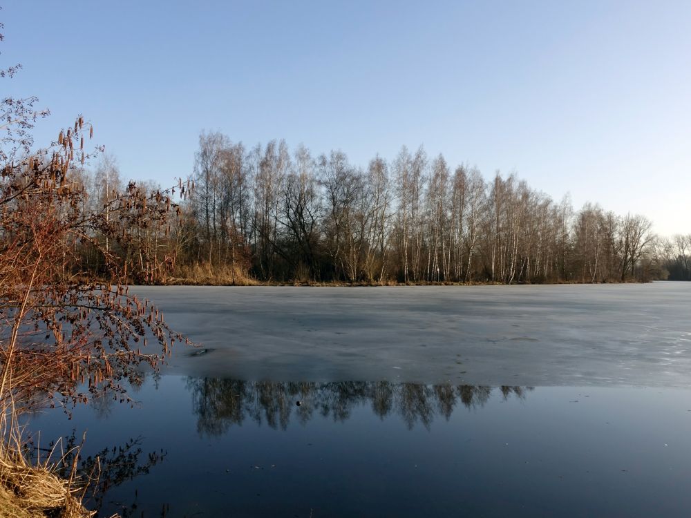 Riedsee am Marbengraben