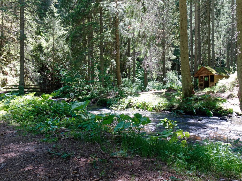 Steg und Rötenbachschluchthütte