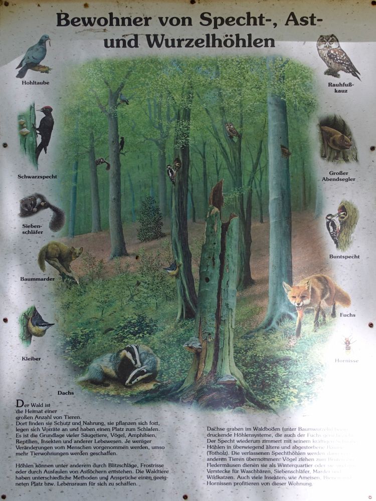 Infotafel