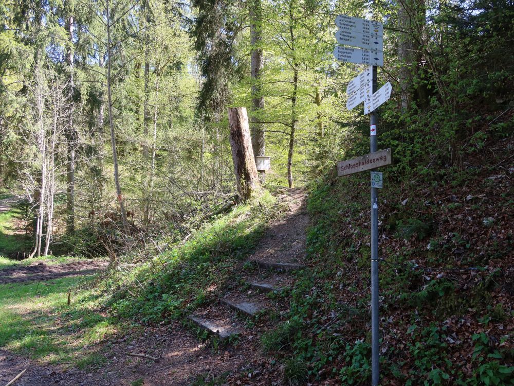 Treppe und Wanderwegweiser