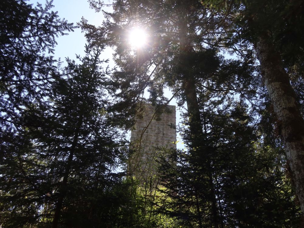 Schloss im Gegenlicht