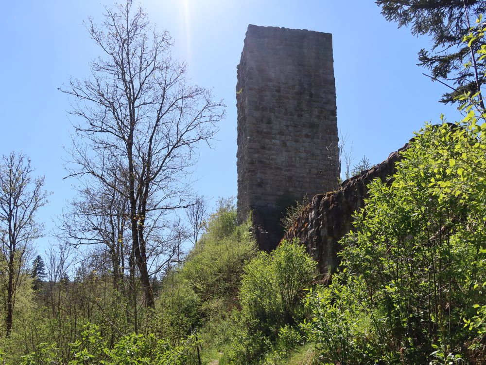 Schlossturm