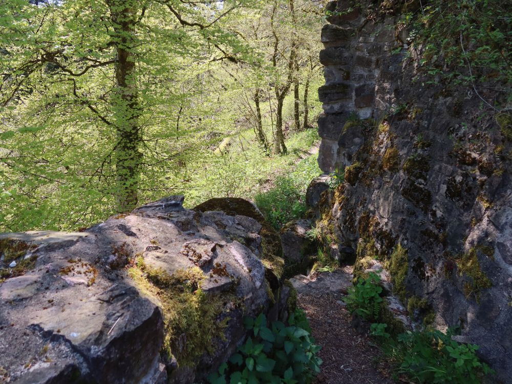 Schlossmauer
