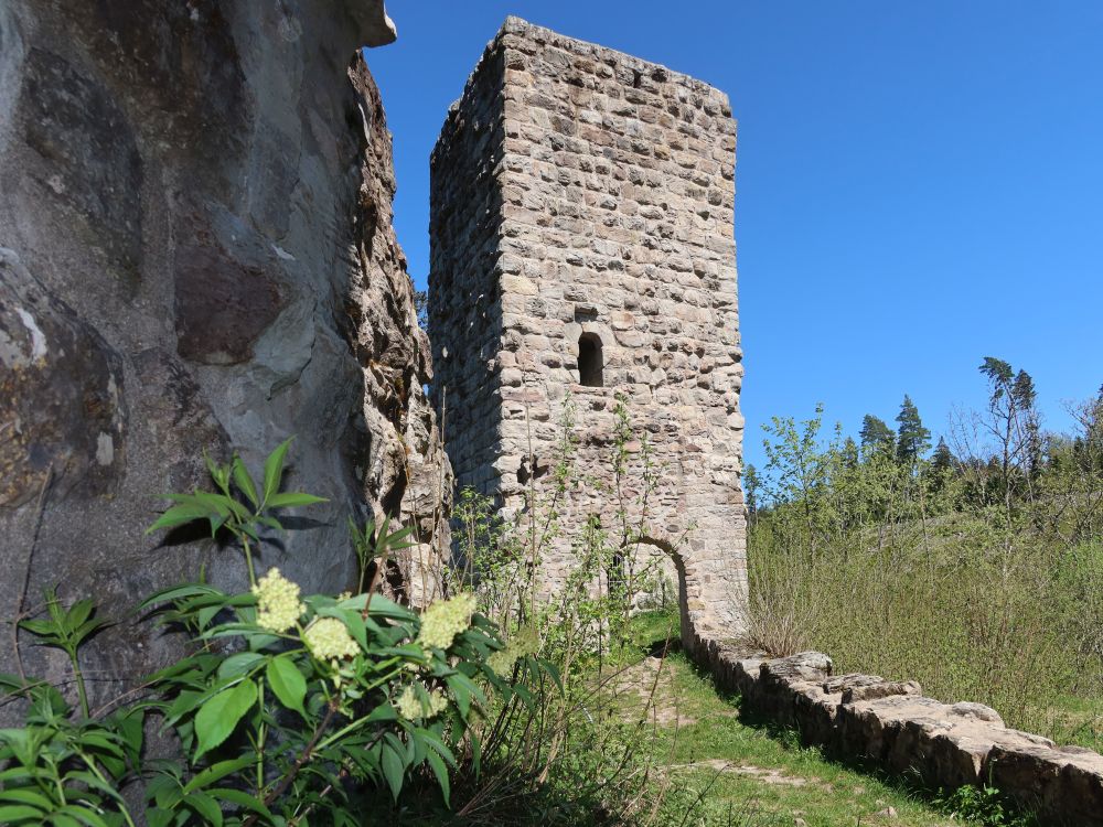 Roggenbacher Schlösser