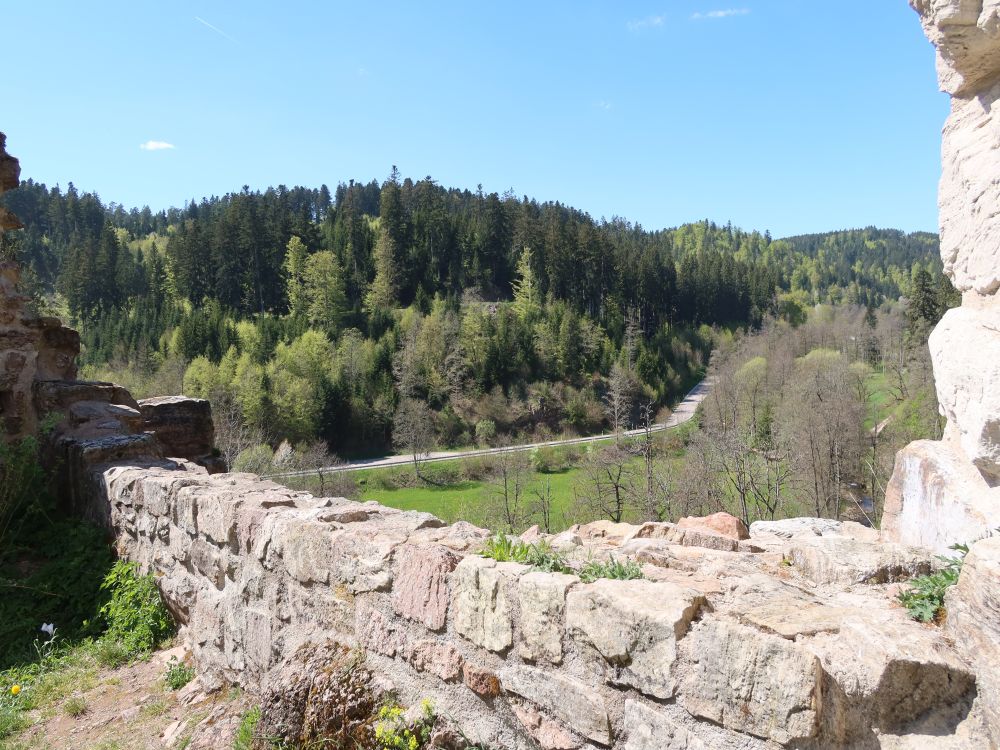 Blick über die Schlossmauer