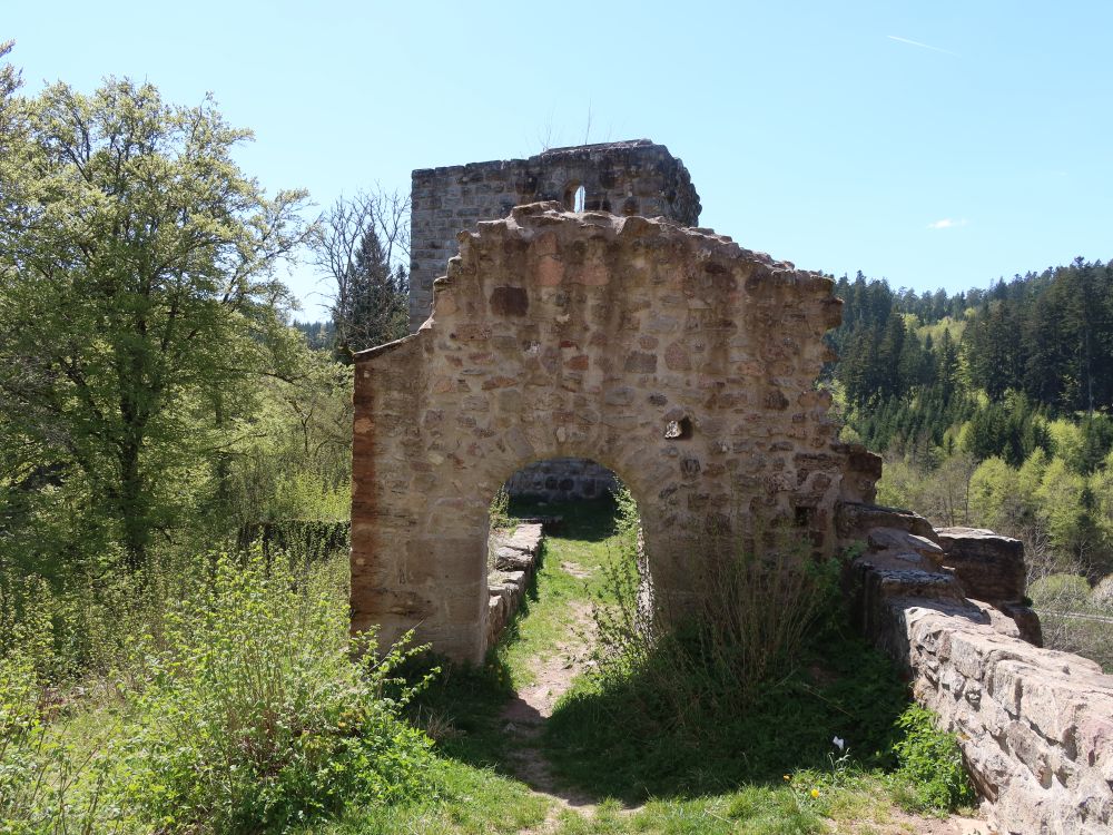 Roggenbacher Schlösser