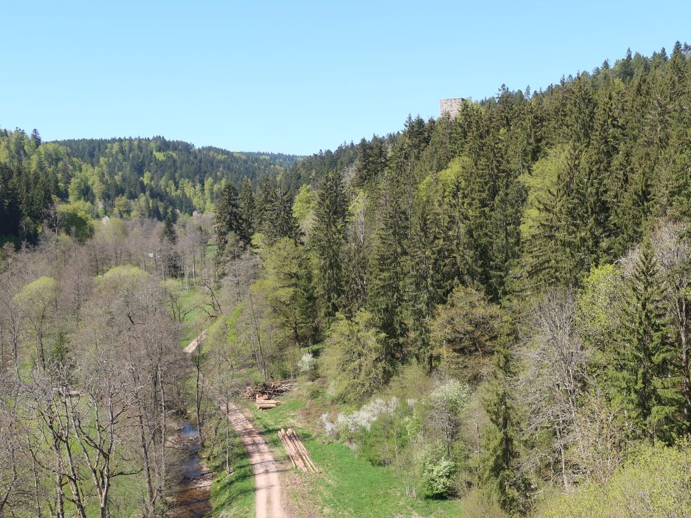 Blick Richtung Steinegg
