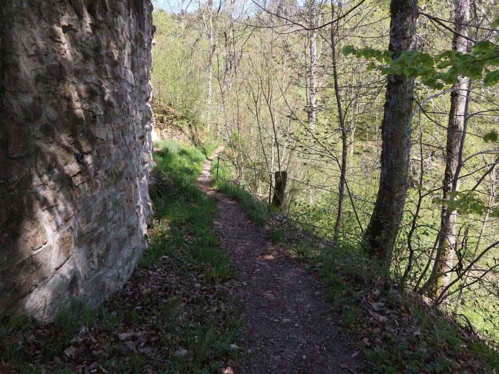 Pfad an der Schlossmauer