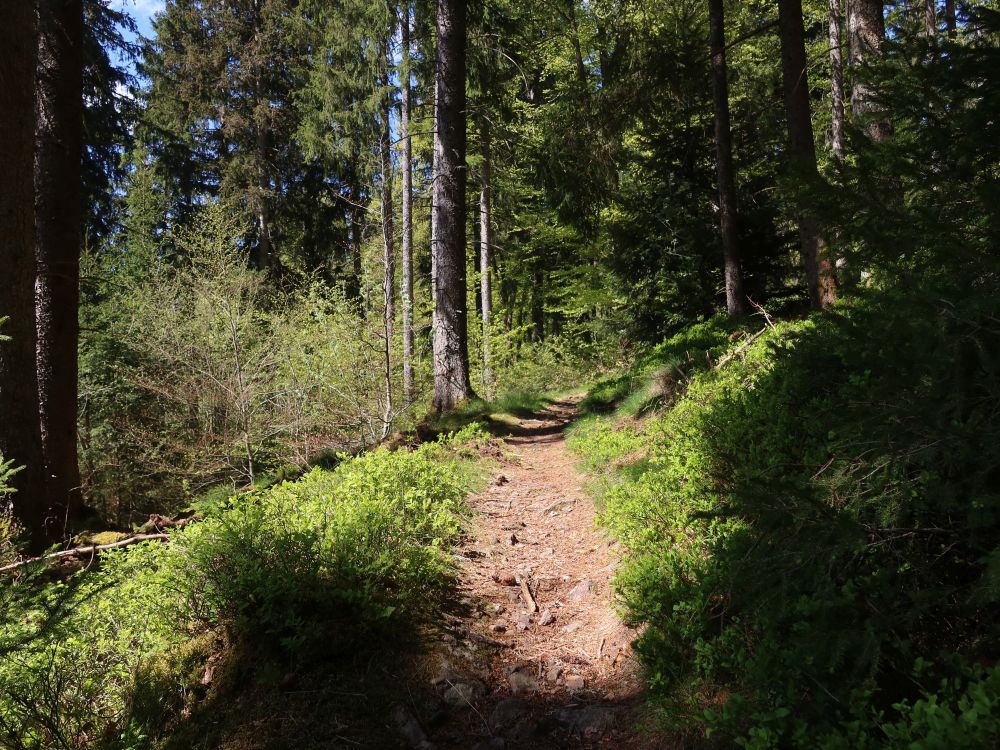 Ganterweg