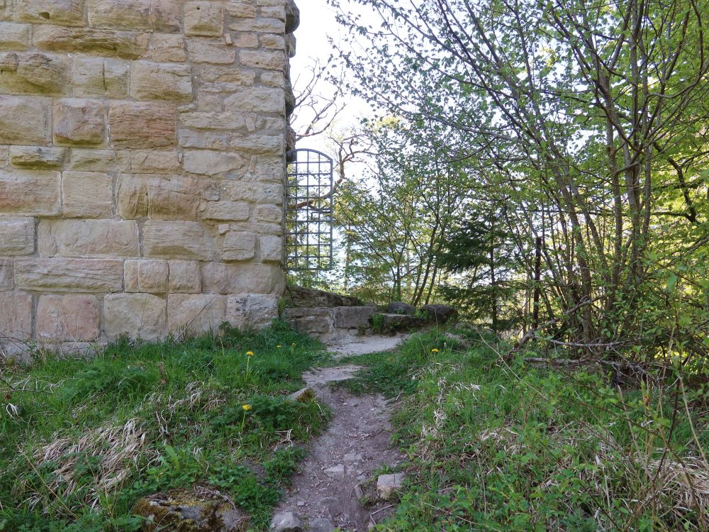 Burgruine Steinegg