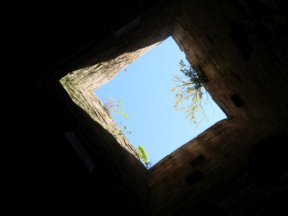 Burgruine Steinegg