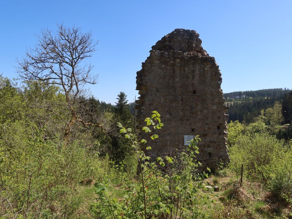 Burgruine Steinegg