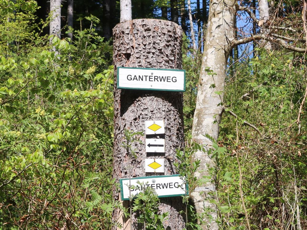 Wegmarkierung