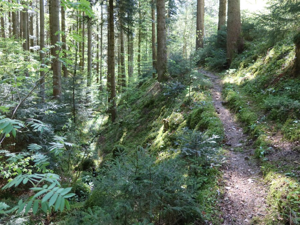 Steinaweg