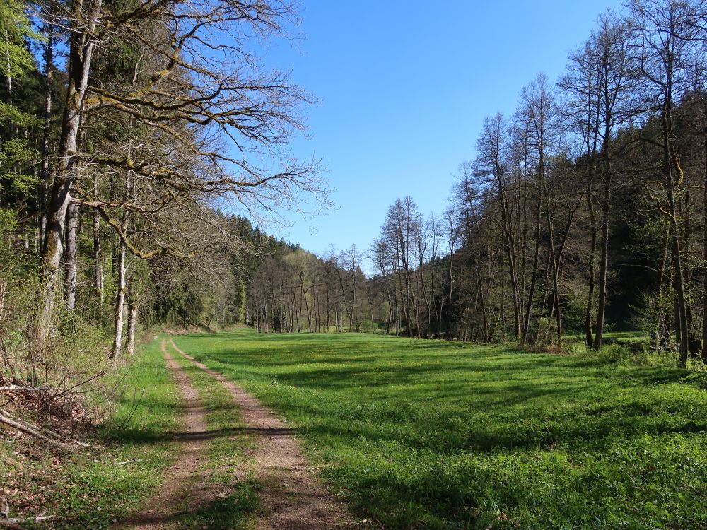 Weg an der Steina