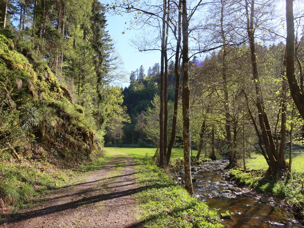Weg an der Steina